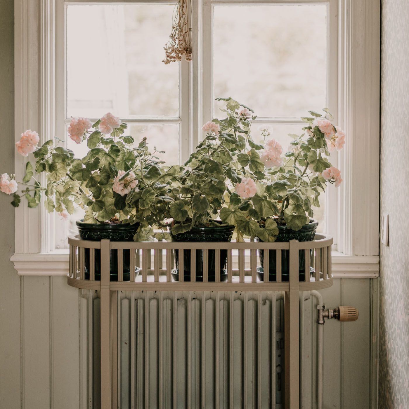 Blomsterbord vetegrå Carlshaga