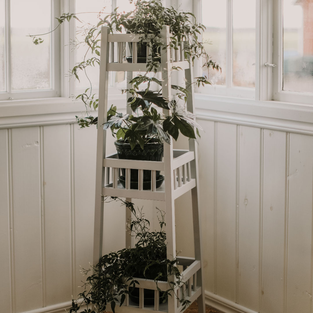 Piedestal Karin i hörn fylld med gröna växter i ett harmoniskt rum 