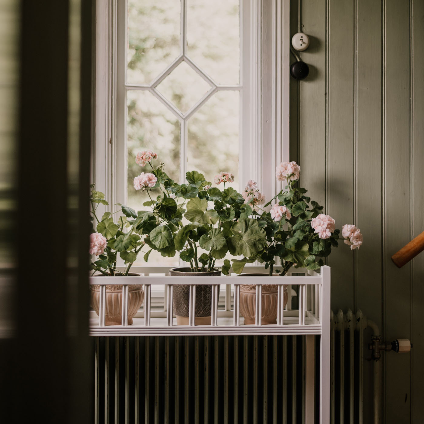 Blombord  1920-tal Carlshaga