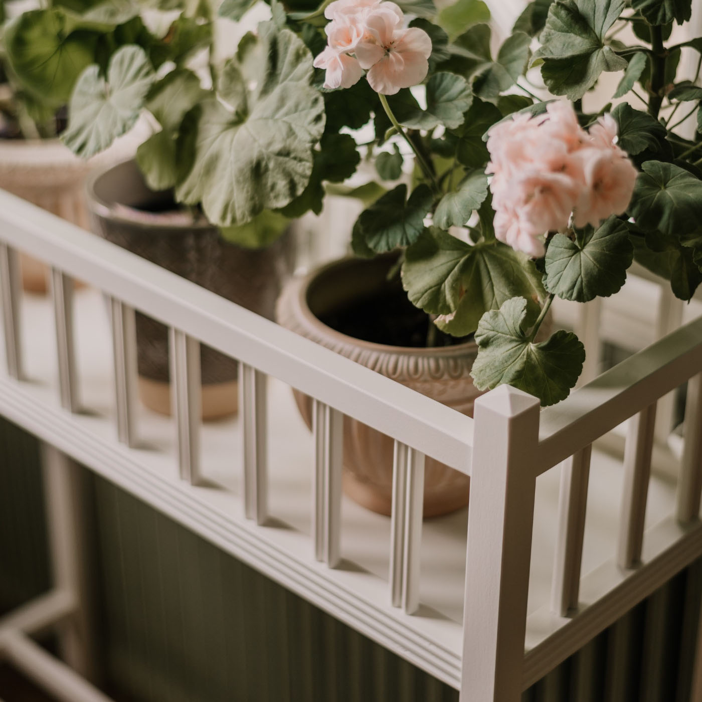 Atmosfär från förr Carlshaga